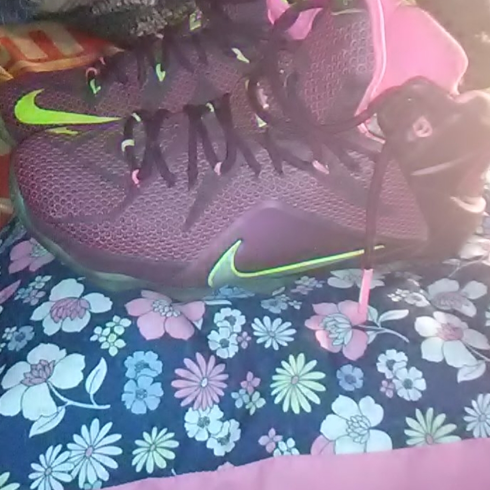 Lebrons - Picture 2 of 5